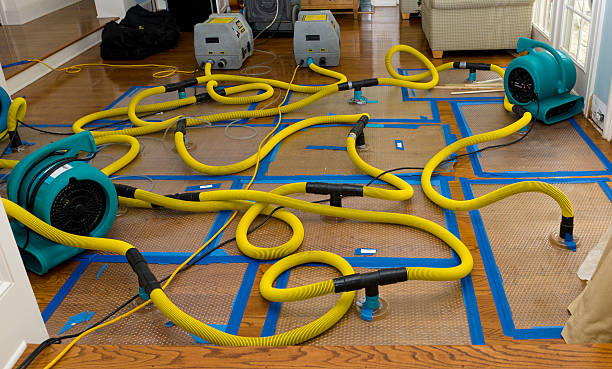 Professional Sewage Cleanup technician working in Summerland, CA